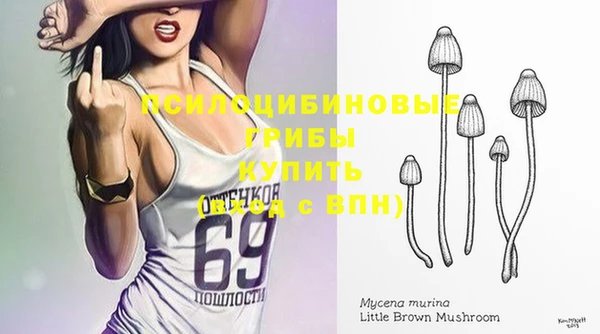 твердый Армянск