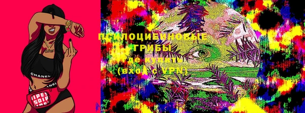 прущие крисы Арсеньев
