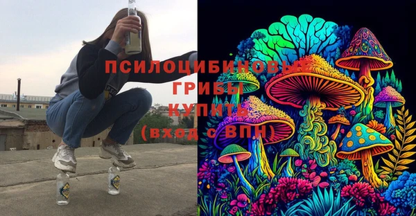 твердый Армянск